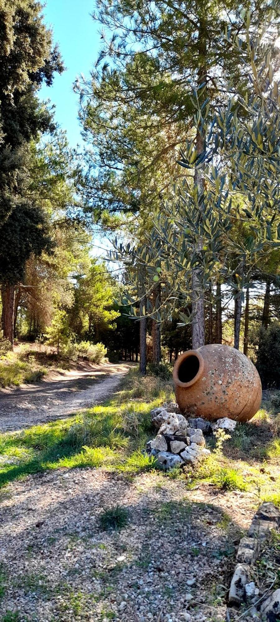 Villa Sanz クエンカ エクステリア 写真