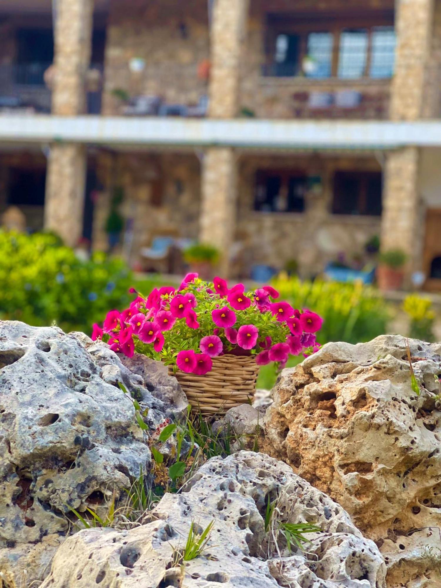 Villa Sanz クエンカ エクステリア 写真