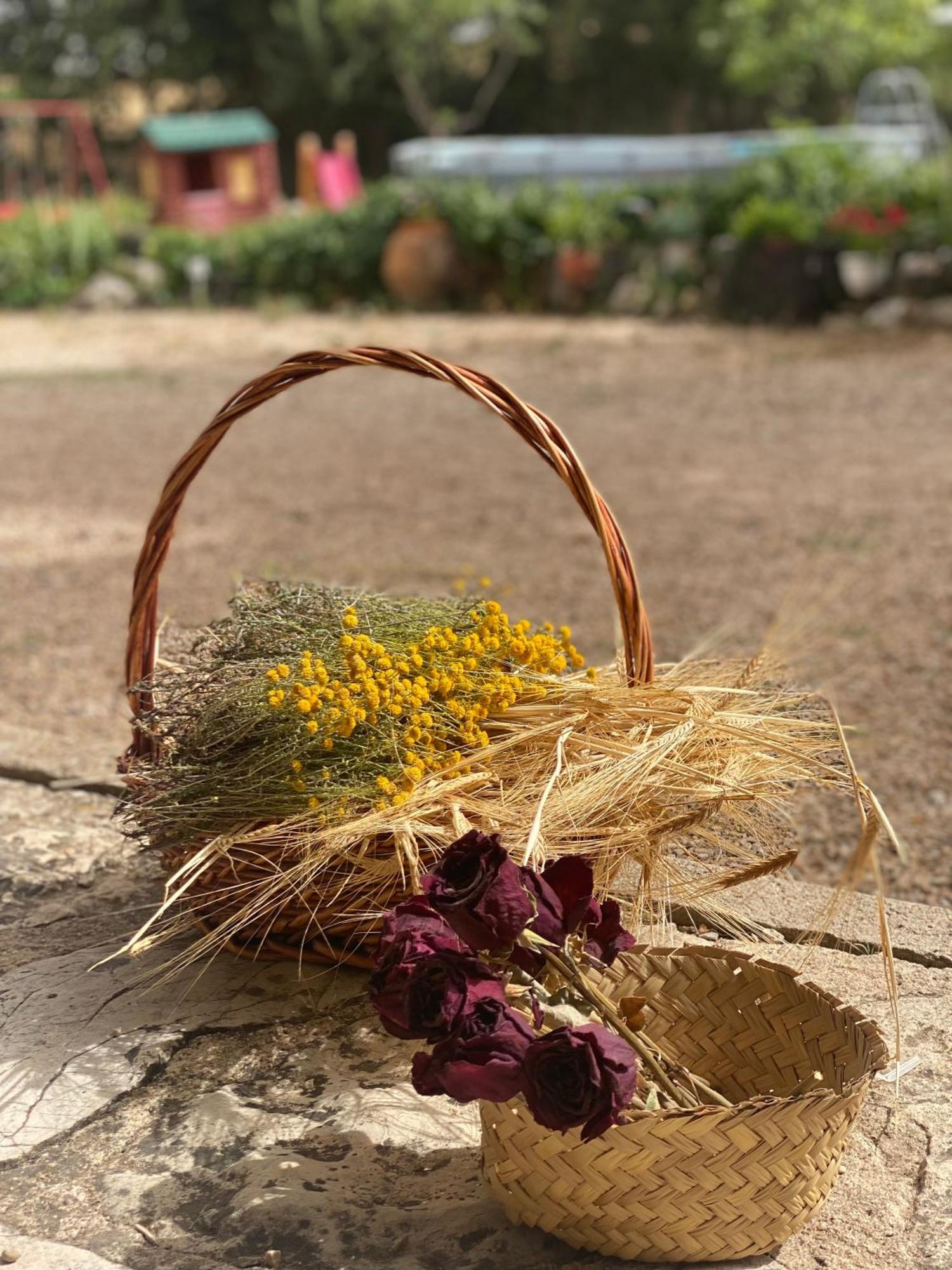 Villa Sanz クエンカ エクステリア 写真